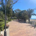 فيلة Fuentes